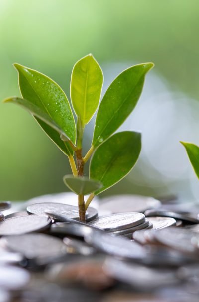 saplings-growing-through-layer-of-coins-on-the-ground